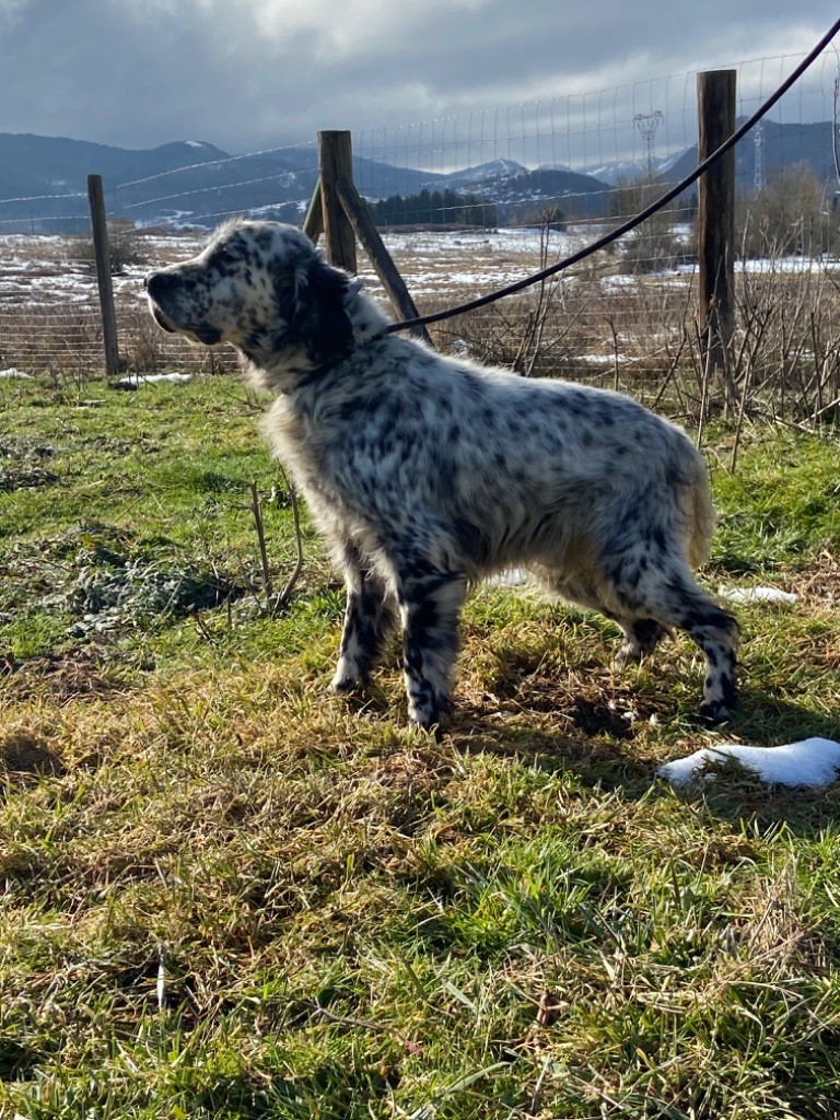 H'aro du vallon de Beaudini
