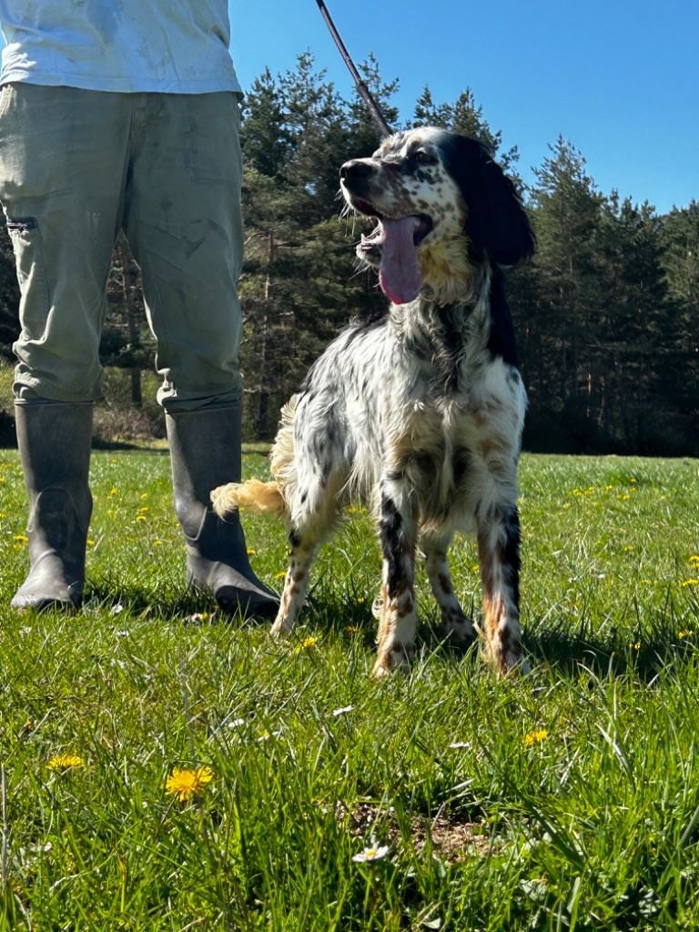 Ulla De La Terrible Menée